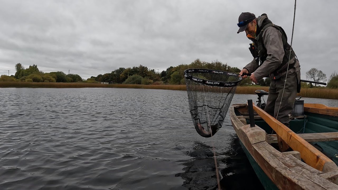 Dream day, flyfishing for rainbow trout, Rathlahine Lake Co.Clare. Using a dry Daddy Longlegs fly. 