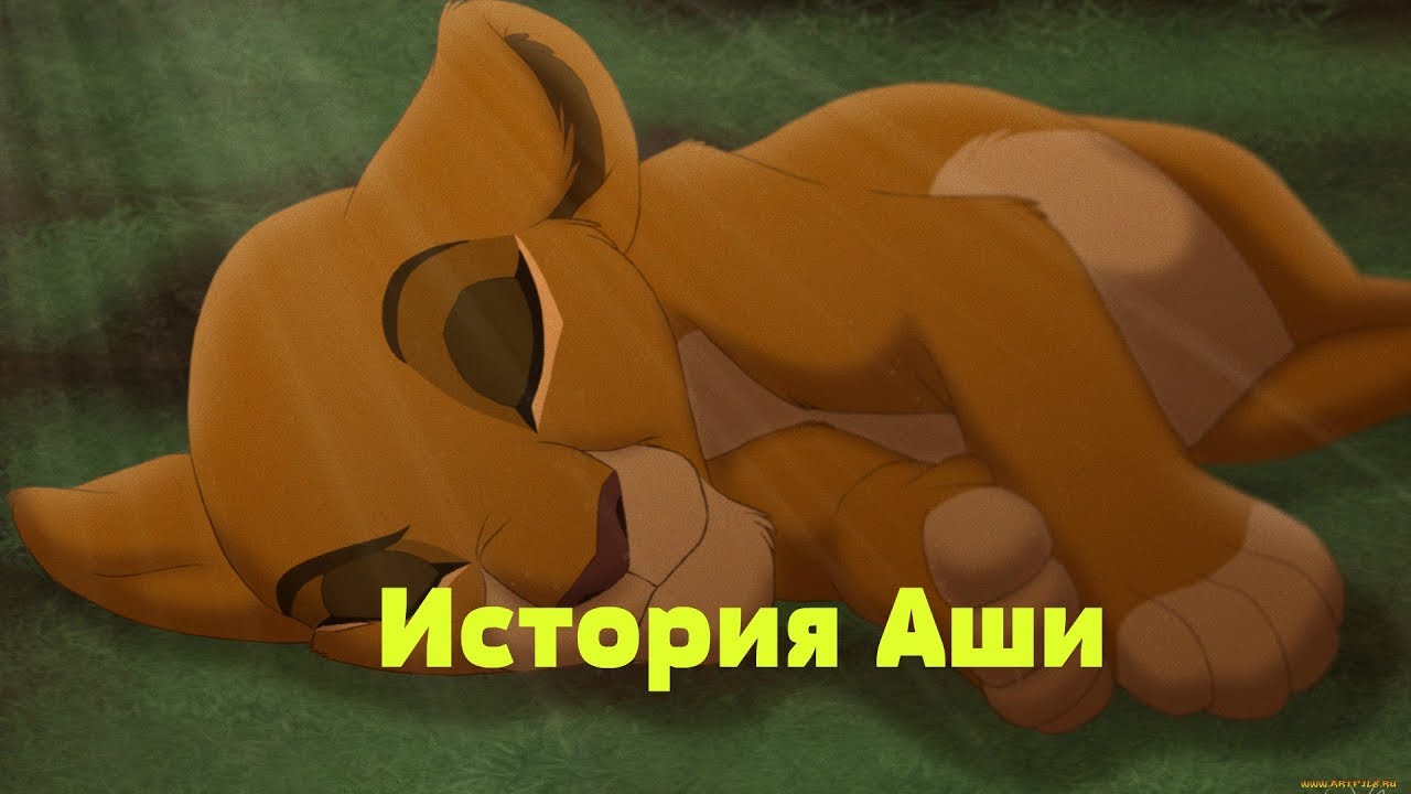 История Аши