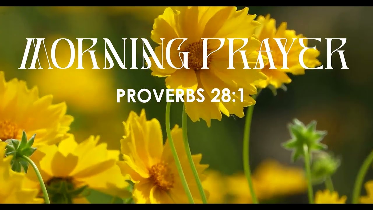 सुबह की प्रार्थना | Morning Devotion | Proverbs28:1 Pr. Anish Masih