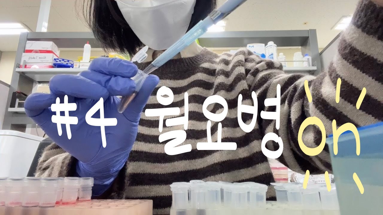 [브이로그] 대학원생의 실험실험 앓는 하루