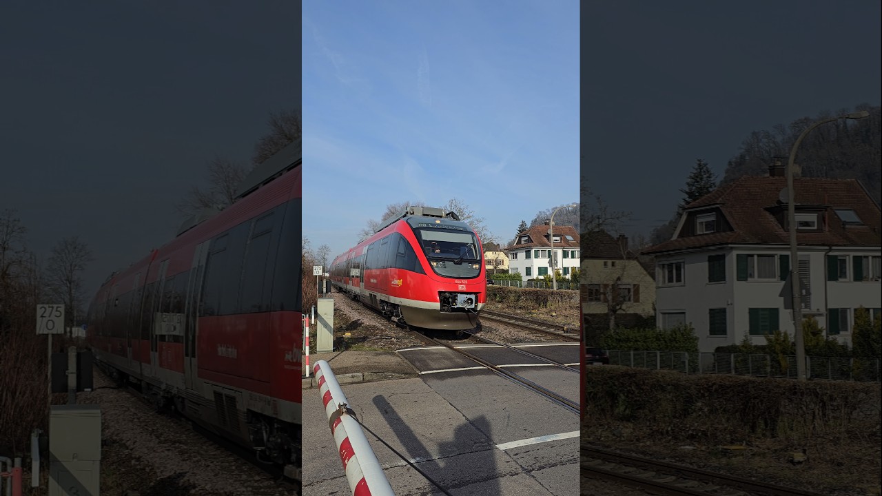 RB3️⃣0️⃣am Bahnübergang Grenzach Deutschland🇩🇪