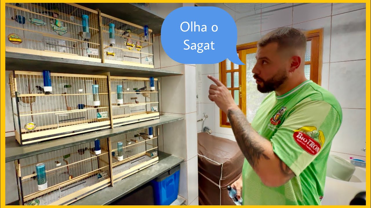 VISITEI O COLEIRO SAGAT CRIATÓRIO MARCHINI