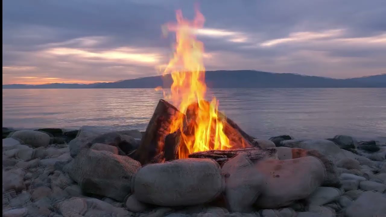 CRNA GORO MAJKO MOJA (2026)