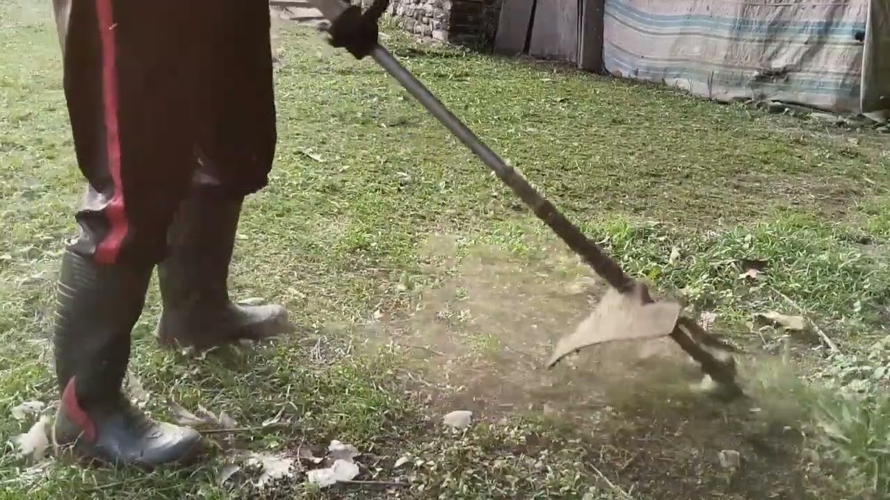 Potong rumput di samping rumah pakai senar