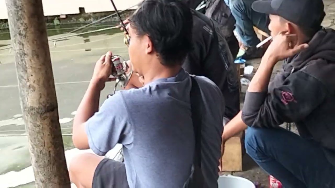 Mancing kembali #fishing #kolamikan 