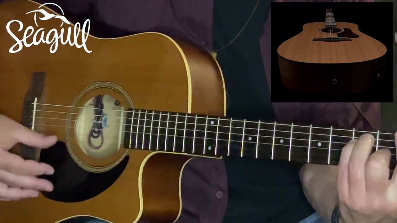 How many people don't know about the Seagull S 6 acoustic guitar's amazing sound and true value?!?!