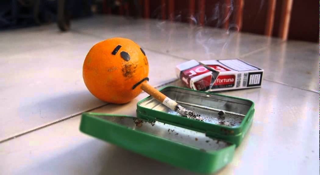 Stop Motion - El Señor Naranja