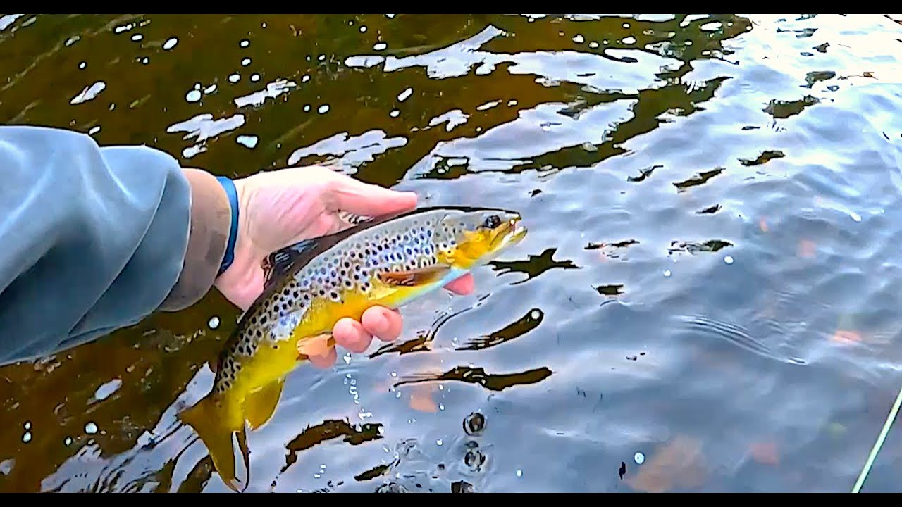 Another Great Day on the River with Dries and a Nymph