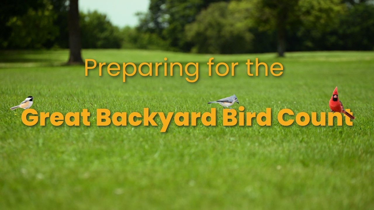 Preparing for the Great Backyard Bird Count