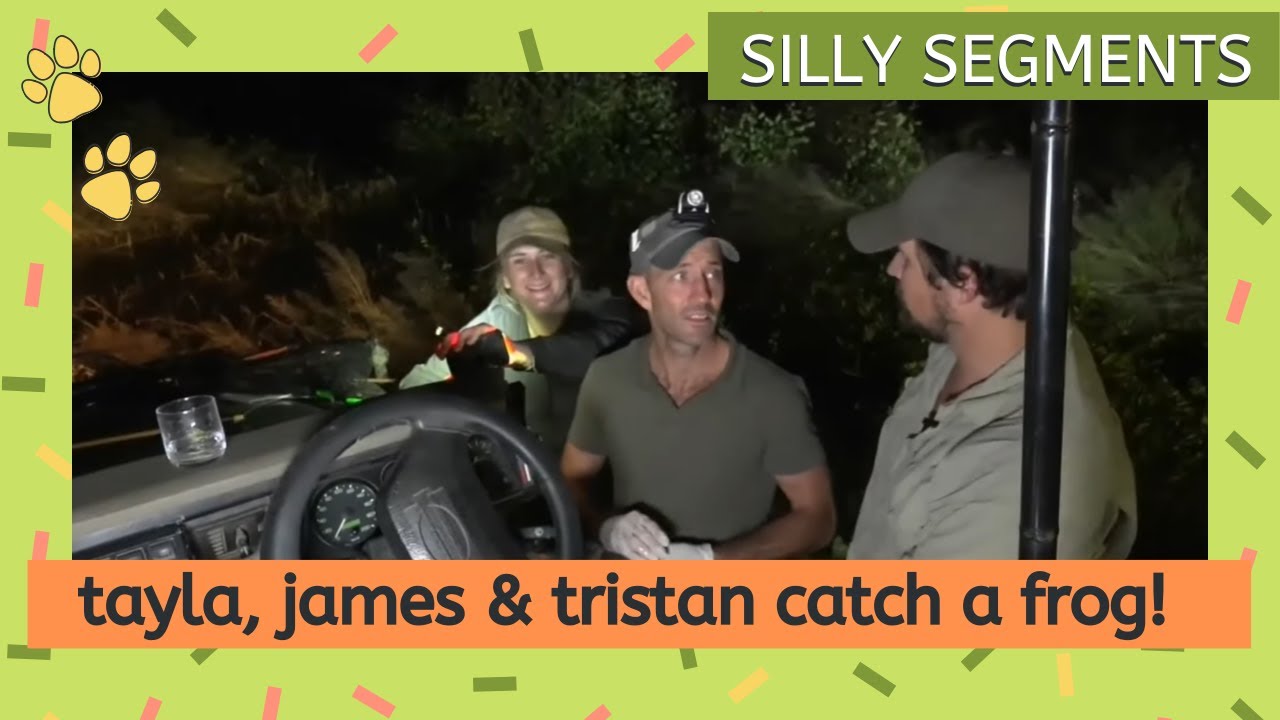 Tayla James and Tristan catch a frog safarilive funny moment