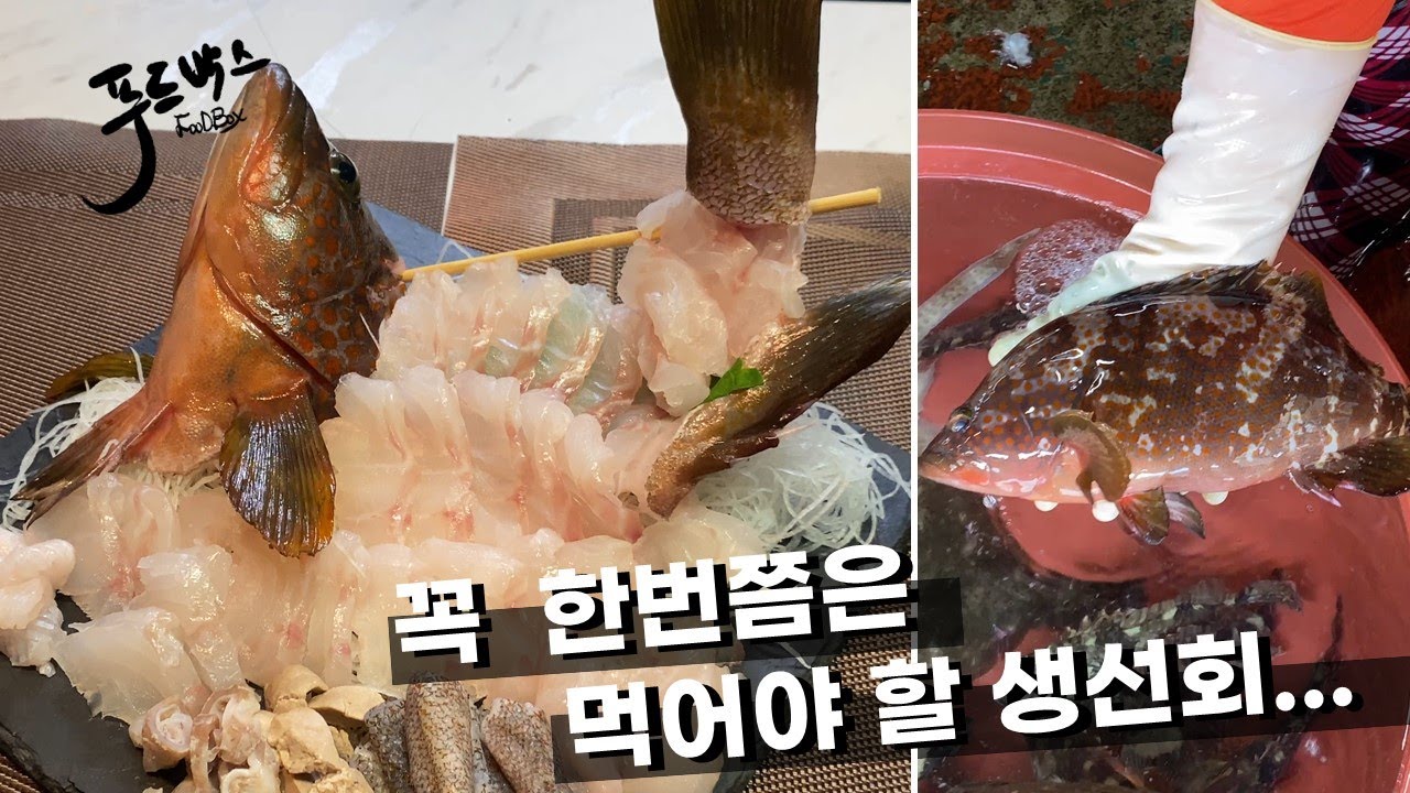 식감이  우드드득..  고급생선인 이유가 있네요  !!!  [붉바리]