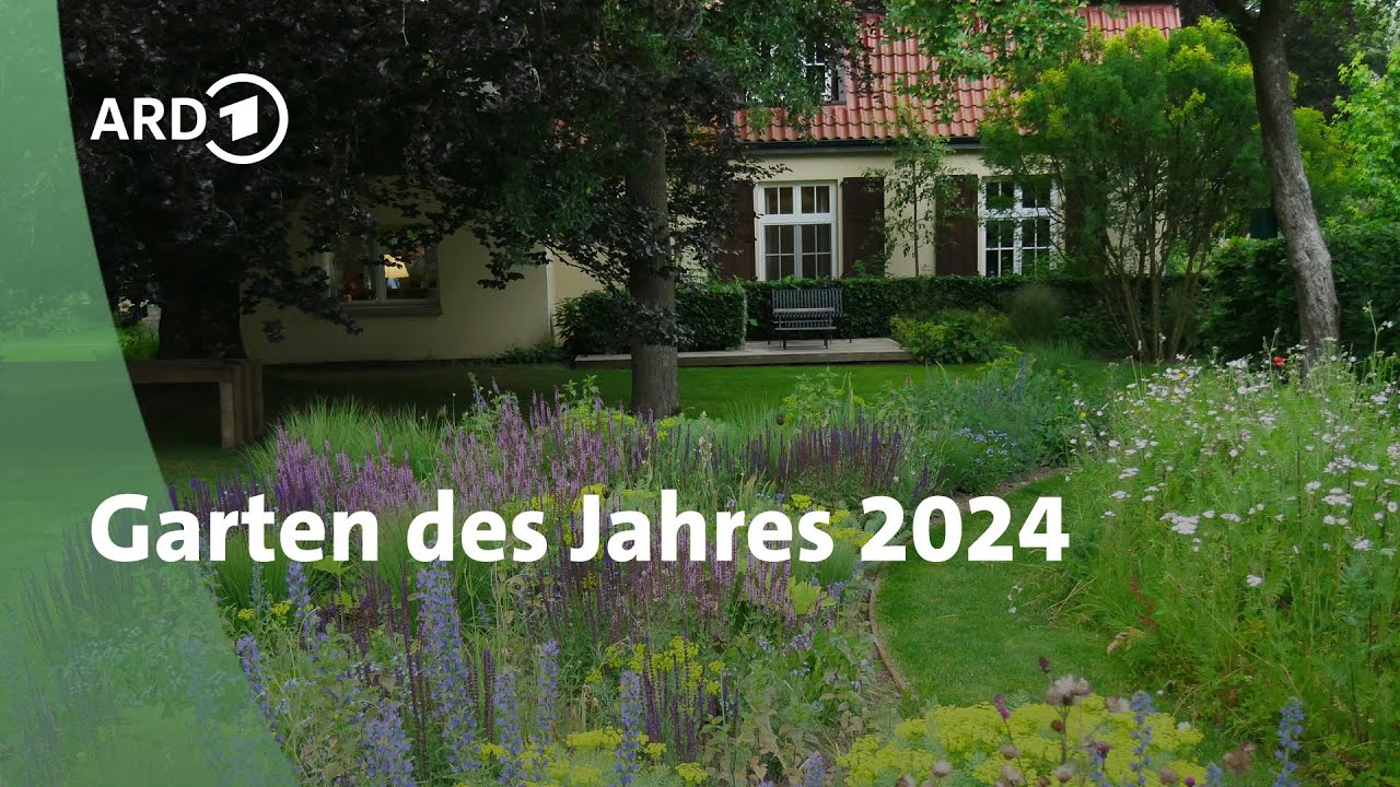 Traumgarten 2024: So sieht der Garten des Jahres aus | MDR Garten