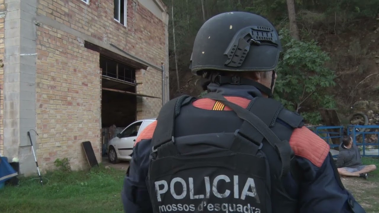 Los Mossos d’Esquadra desmantelan cinco invernáculos con 5.000 plantas de marihuana en Benifallet