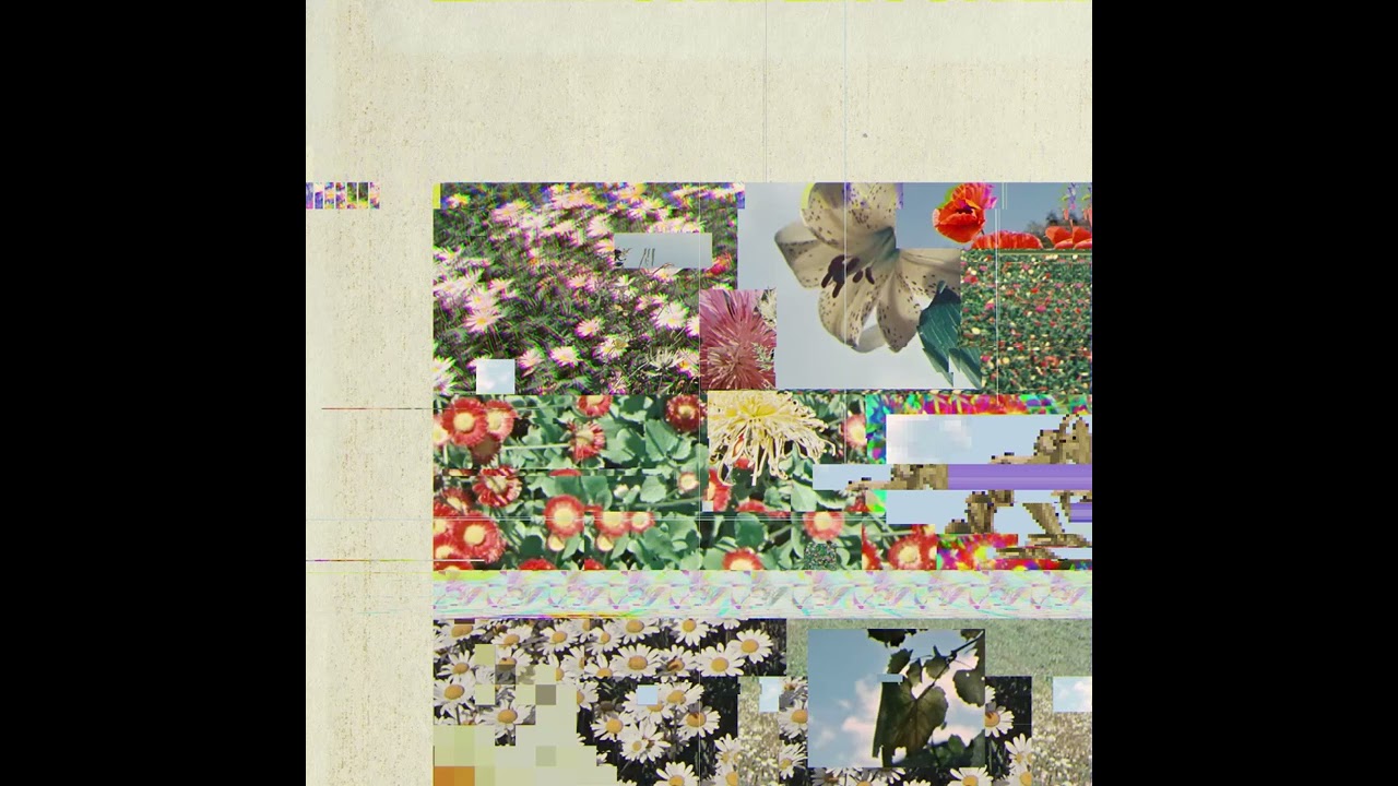 felt body - fig tree long walk 6am (Full Album)