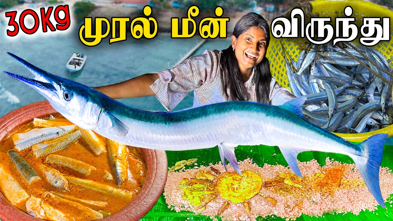 ஒரு மாதகல் முரன் மீனுக்கு இவ்வளவு விலையா ?😲a new way you've never seen before NEEDLE FISH HUNTING