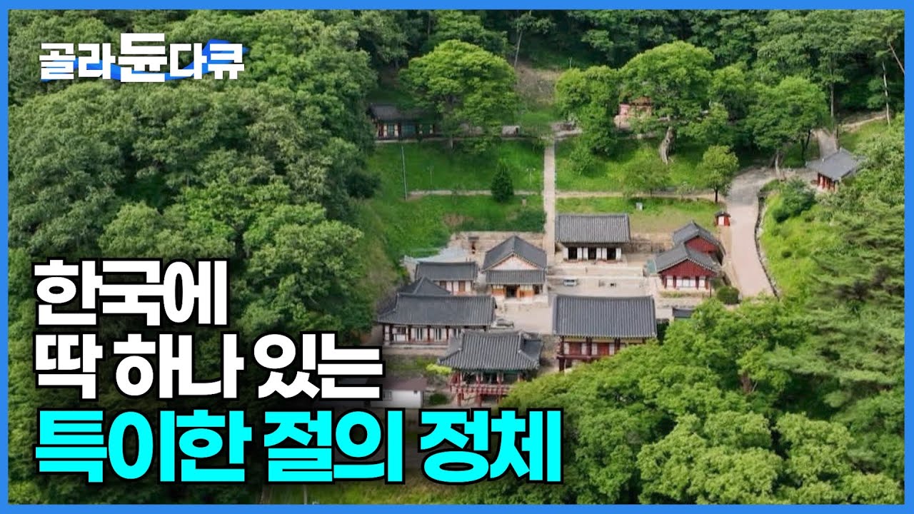 대한민국에 딱 하나 있는 독특한 절│천년고찰 칠갑산 장곡사│한국의 가볼만한 사찰│고향민국│#골라듄다큐