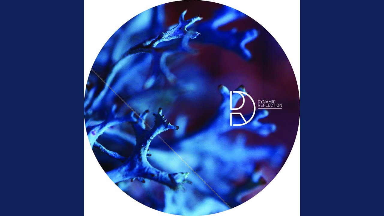 Coincidence One (Neel Remix)