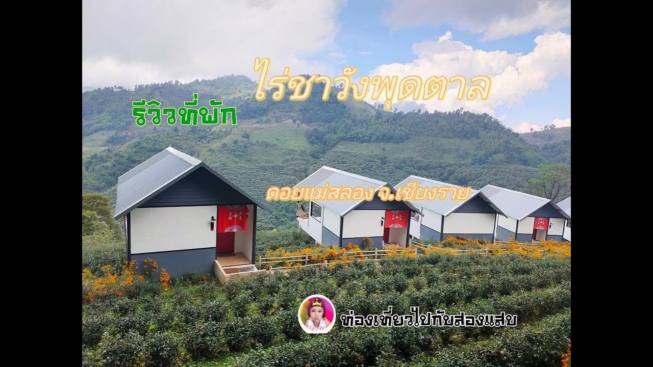 รีวิวที่พัก ไร่ชาวังพุดตาล ดอยแม่สลอง จ.เชียงราย /2022