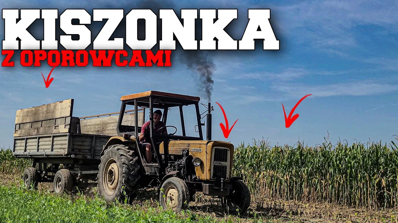 🌽KISZONKA 2024🌽|2xUrsus C360 3P & Ursus C360|John Deere 3350&3050|Claas Jaguar 840