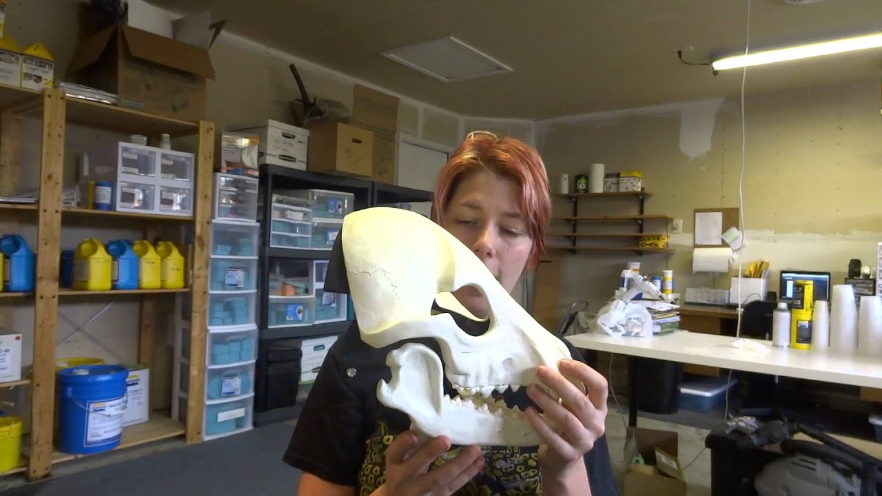 Articulated Skull K9 demo