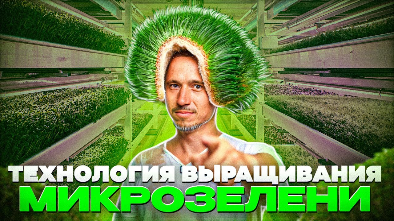 МИКРОЗЕЛЕНЬ Технология ВЫРАЩИВАНИЯ