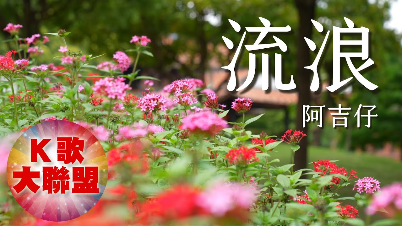 阿吉仔-流浪【KTV導唱字幕】