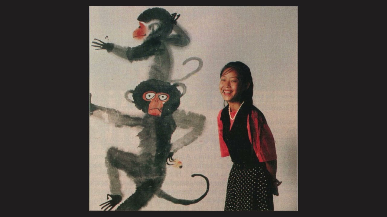 Wang Yani Pecha Kucha - Spahr