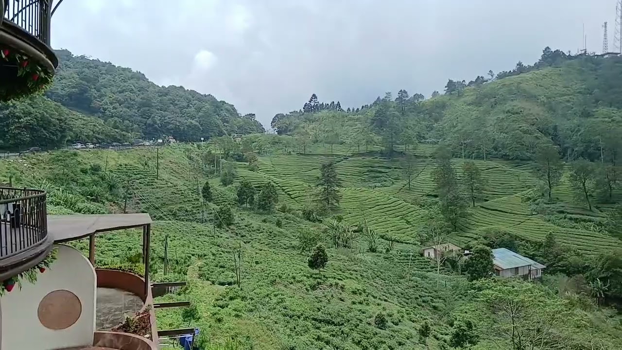 Panorama indah puncak Bogor