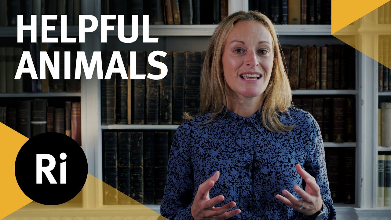 Why Do Animals Cooperate? - with Nichola Raihani
