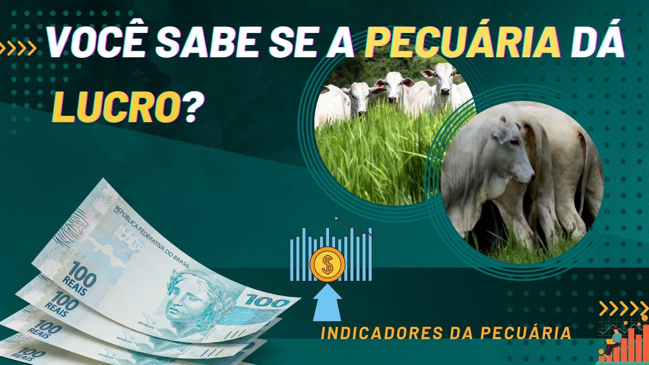 Você sabe se a Pecuária dá Lucro!!! Indicadores na Pecuária!!