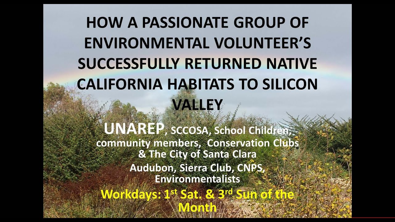 HOW A GROUP OF ENVIRONMENTAL VOLUNTEER’S RETURNED NATIVE CALIFORNIA HABITATS TO SILICON VALLEY