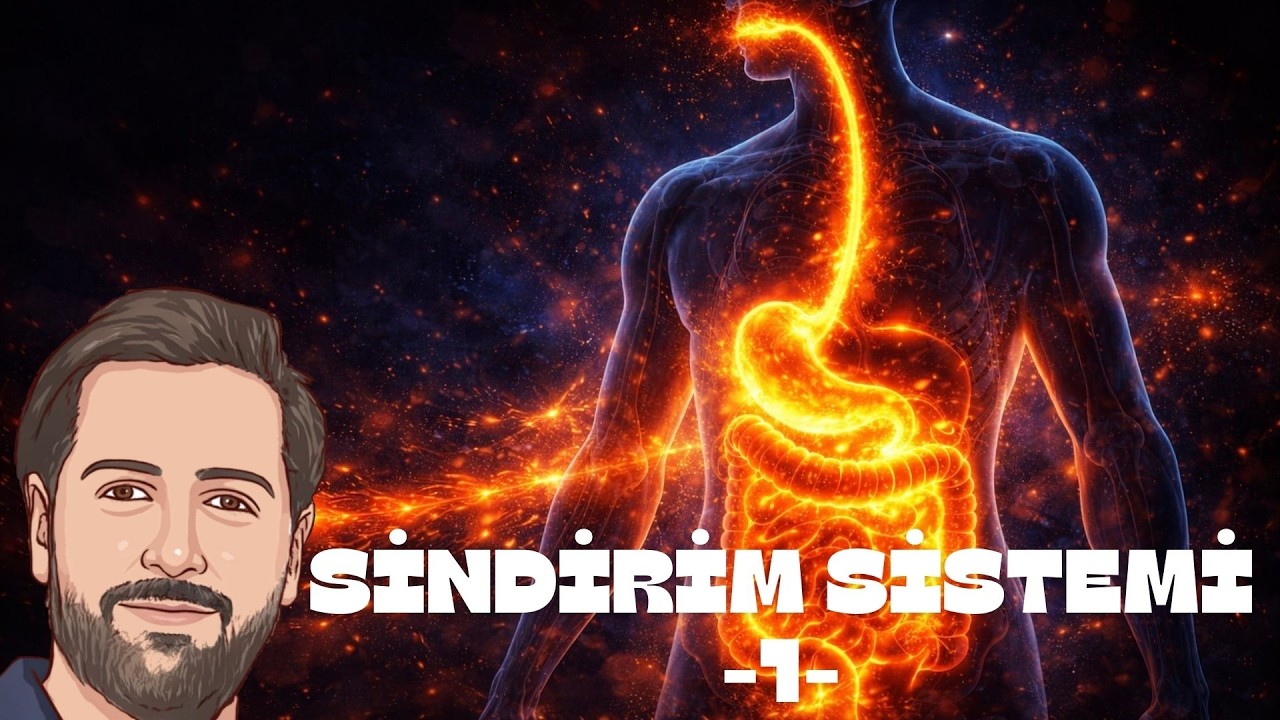 Sindirim Sistemi 1 | Sindirim Çeşitleri ve Organlar | AYT Biyoloji 2026