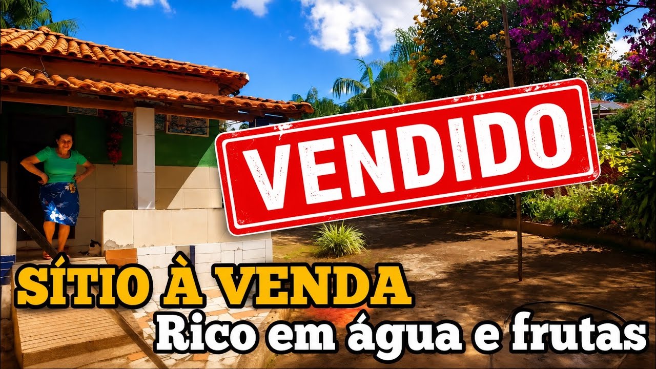 Nunca Vi um Sítio com Tantos Pés de Frutas e Flores / Já foi VENDIDO 10/06/2025