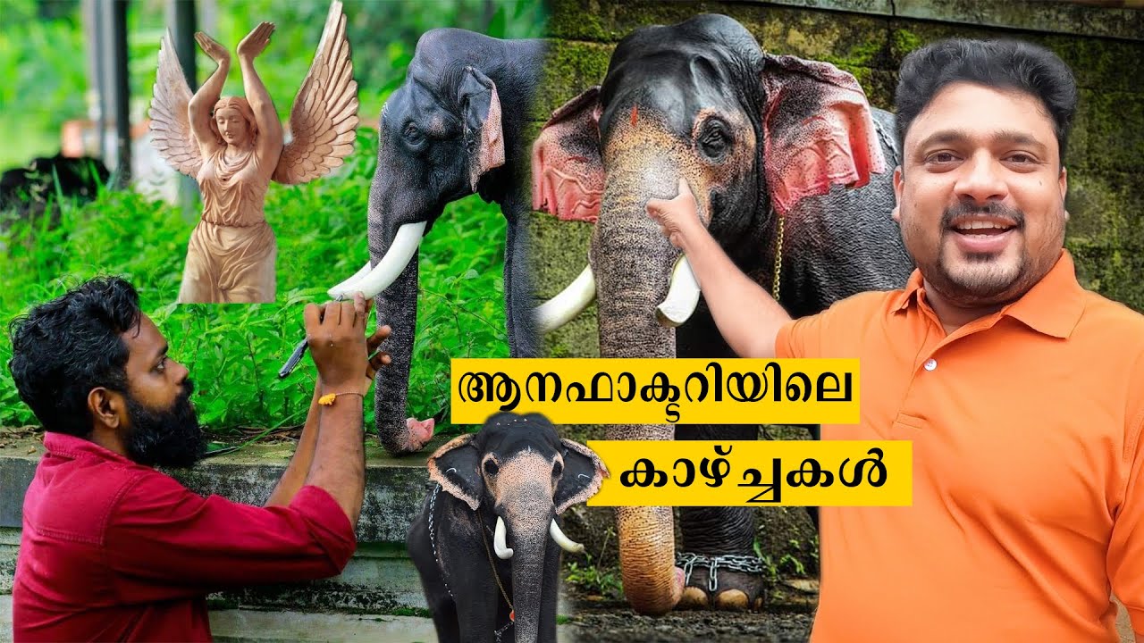 Awesome wood craft | wooden elephant | elephant making malayalam | handmade elephant | wooden craft