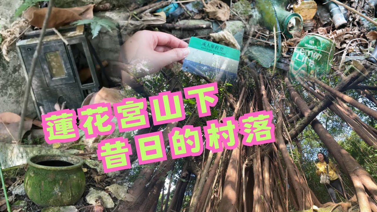 尋找香港故事 EP 129：大坑蓮花宮山下，昔日的村落
