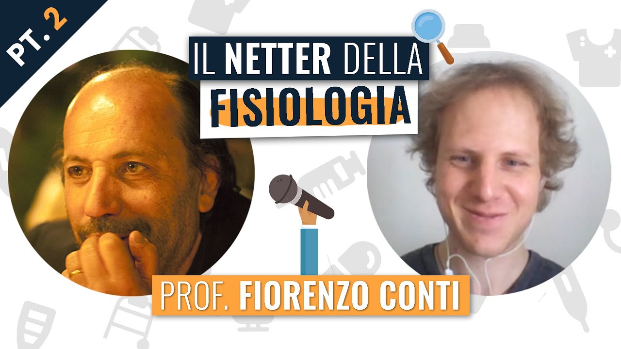 Il NETTER della FISIOLOGIA: Fiorenzo Conti PT. 2 🔍 Focus On