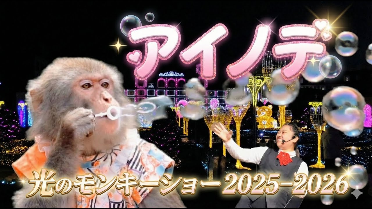 アイノテ　光のモンキーショー　神戸イルミナージュ 2025-2026　猿まわし🐵💝　二助企画