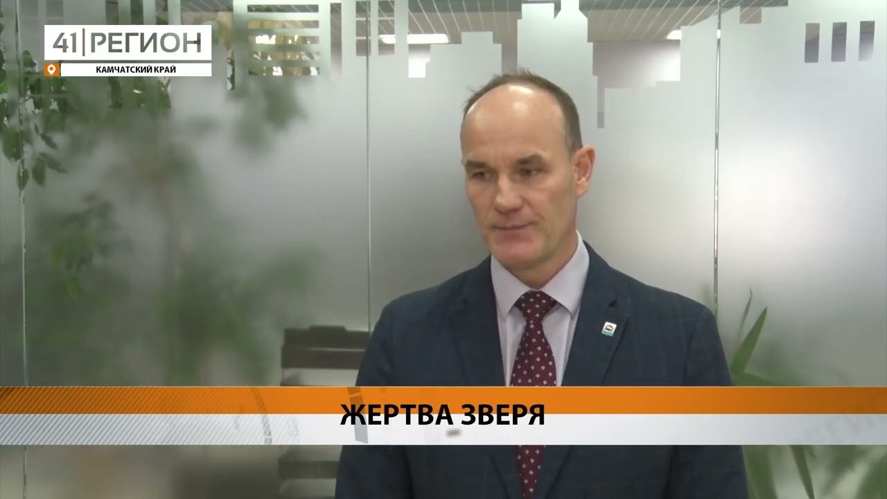 МЕДВЕДЬ УБИЛ ЧЕЛОВЕКА В ВАХТОВОМ ПОСЁЛКЕ НА КАМЧАТКЕ • НОВОСТИ КАМЧАТКИ