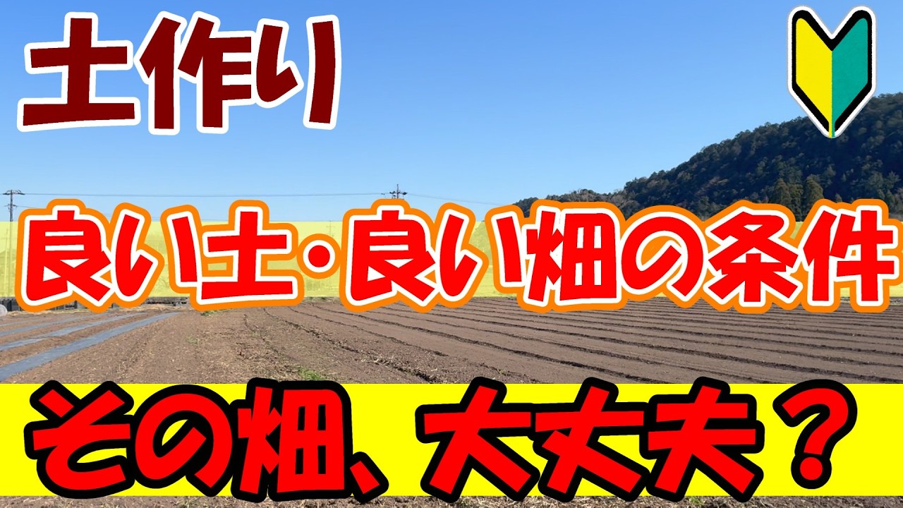 【家庭菜園】良い土・良い畑の条件はこれ！こんな畑だったら最高です！