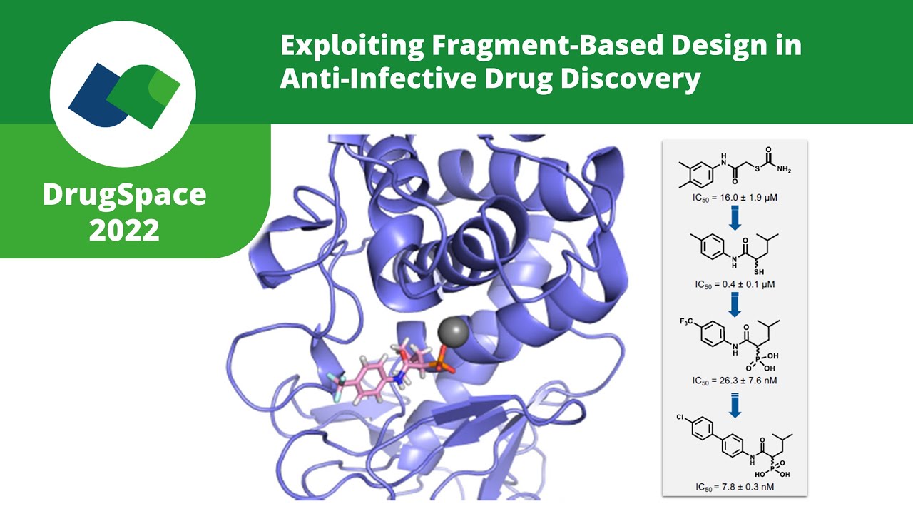 Exploiting Fragment-Based Design in Anti-Infective Drug Discovery