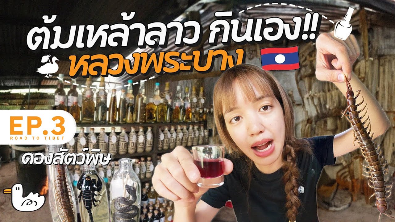 ต้มเหล้าลาว 55 ดีกรี !! ที่หมู่บ้านริมโขง หลวงพระบาง! I #soloไทยสู่หิมาลัย D4