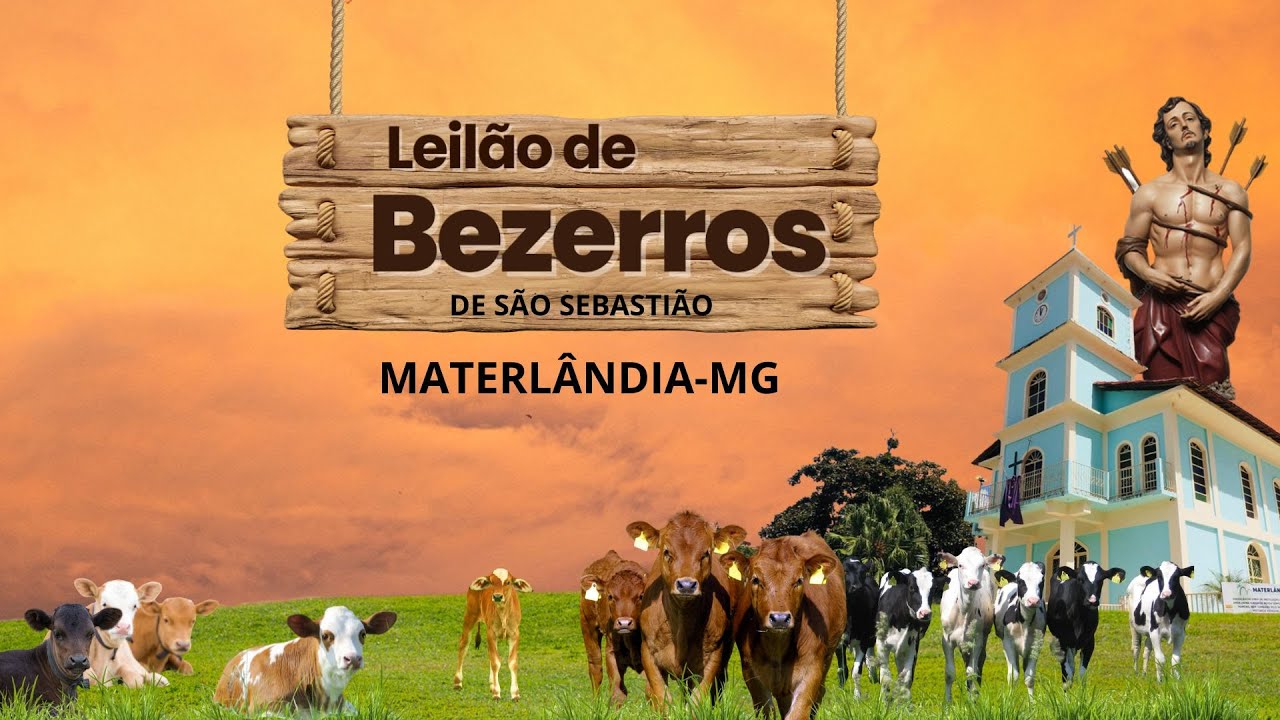 LEIL&Atilde;O DE BEZERROS DE S&Atilde;O SEBASTI&Atilde;O (MATERl&Acirc;NDIA-MG) 25/01/2026