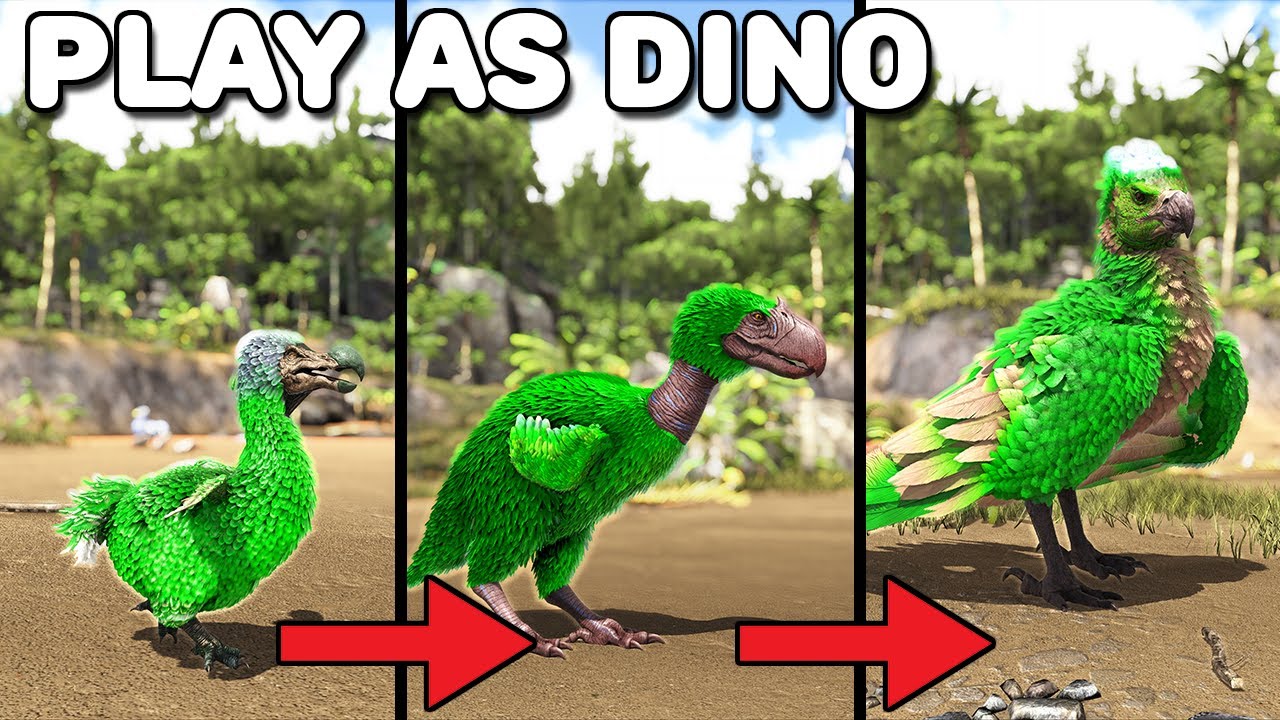 DODO, TERROR BRID, ARGENTAVIS PROGRESSION LINE | PLAY AS DINO | ARK SURVIVAL EVOLVED