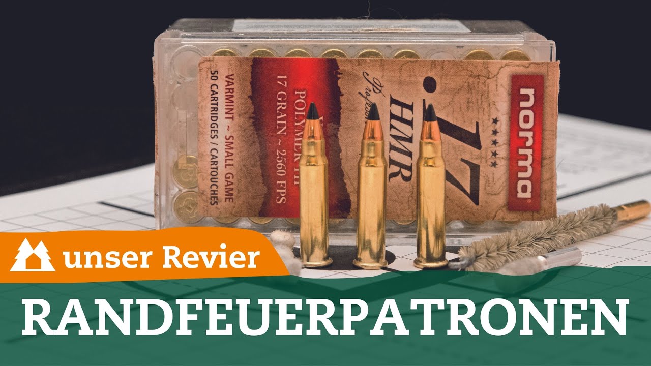 Fuchsjagd – Randfeuerkaliber im Praxis-Check | Einsatzzweck & Reichweite | unser Revier | .17 HMR