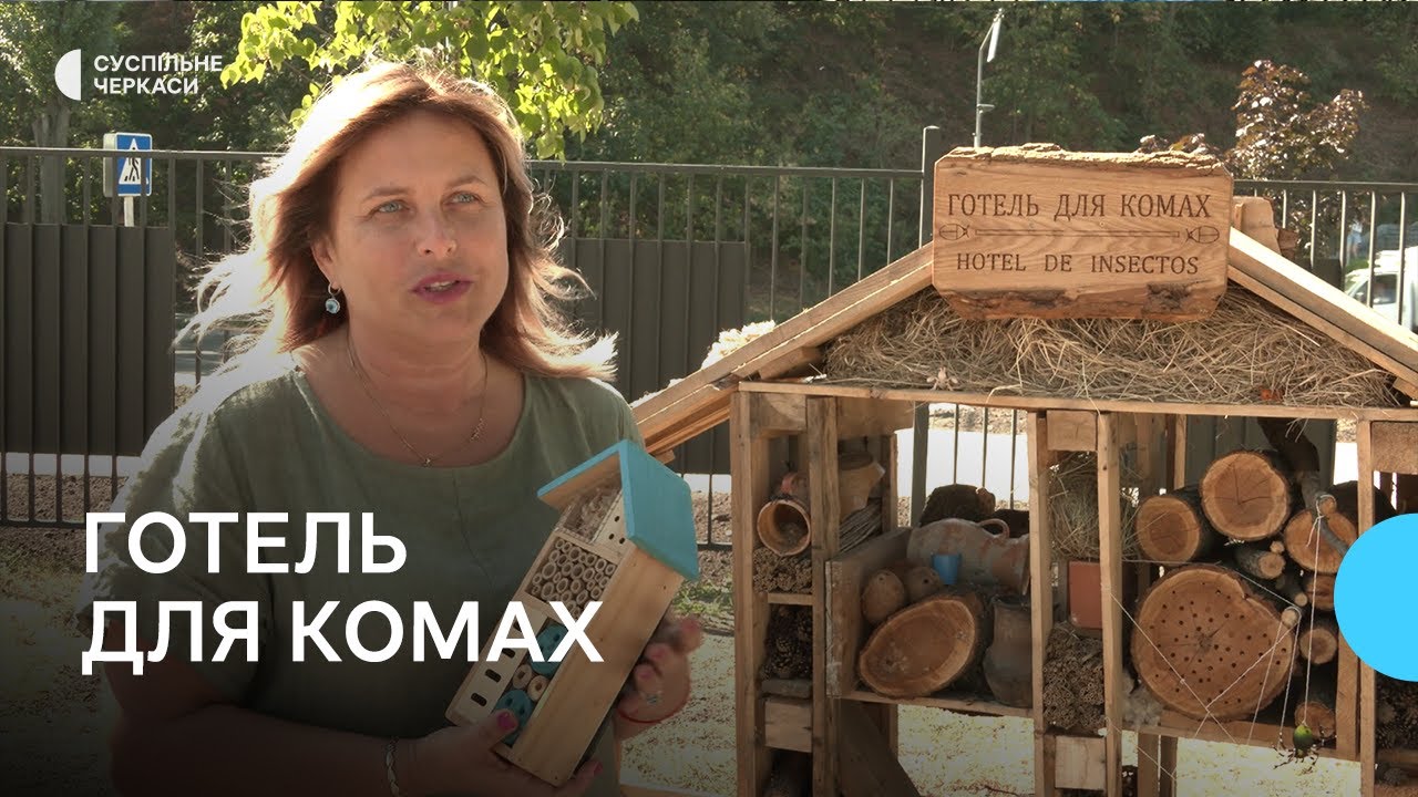 Готель для комах: навчити дітей піклуватися про довкілля