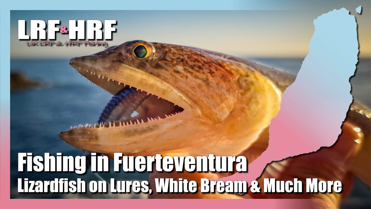 Fishing In Fuerteventura: Lizardfish on Lures, White Bream & Rockpooling
