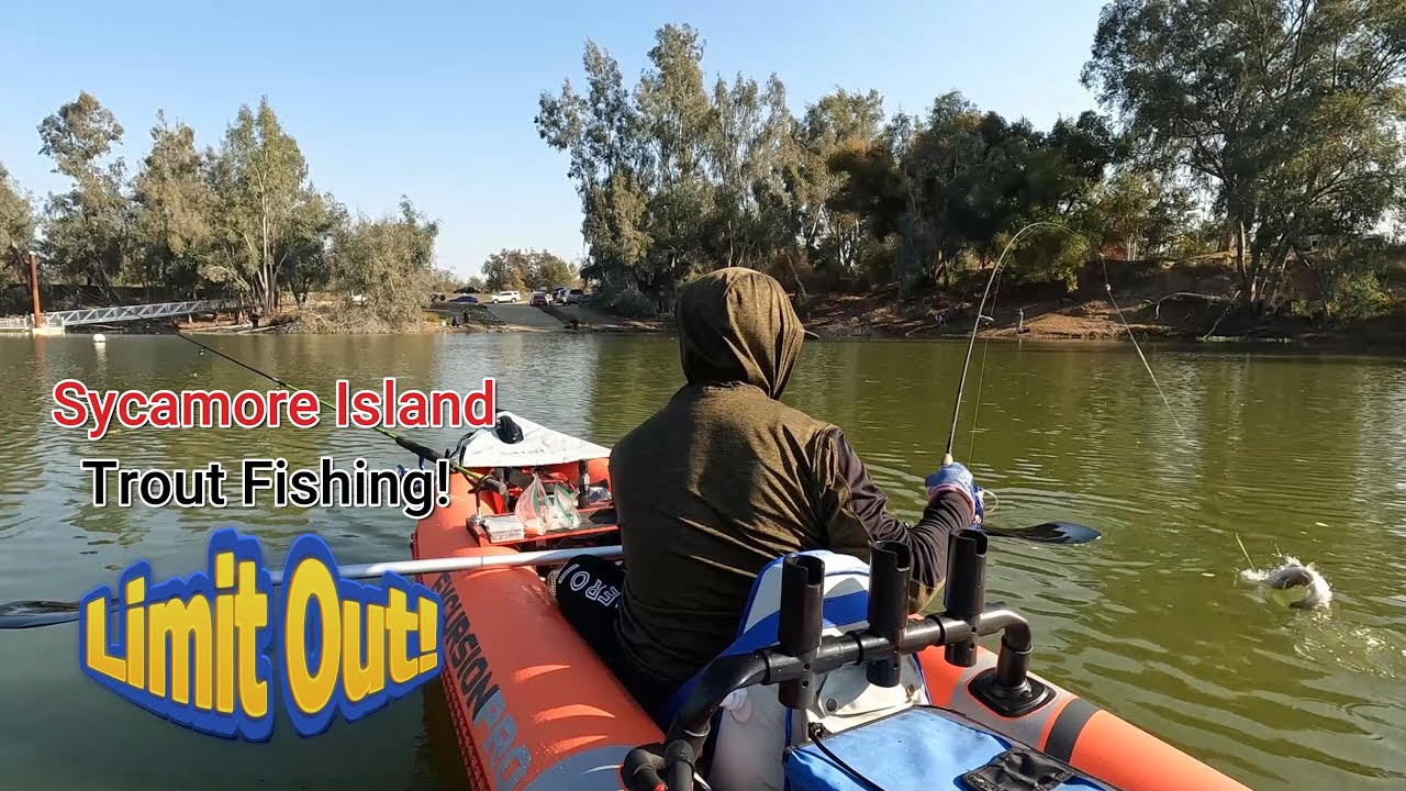 Sycamore Island Trout Fishing - Limit out!