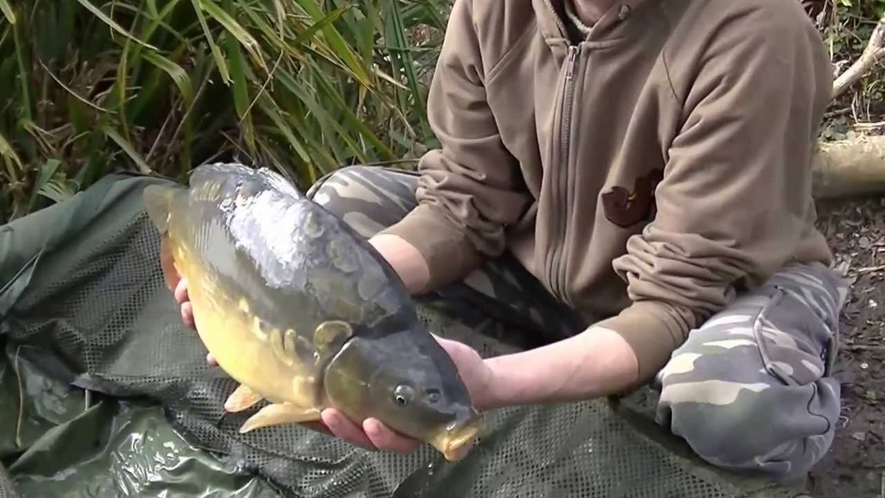 Laddingford Diaries Part 13: Ruxley Lakes Fish Stocking (New Barge)