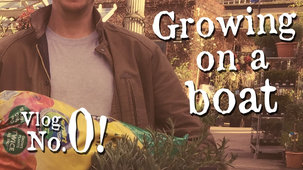 Plants I grow on my boat’s roof and how I use them inside