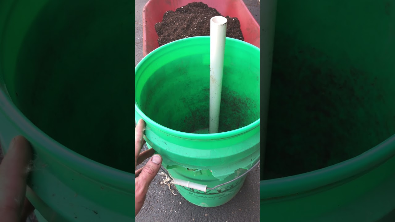 Self watering planter #growyourown #vegetablegardening #tomatoplants #garden #lovegardening